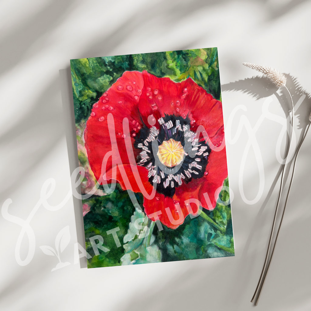"Remembrance" Red Poppy Print